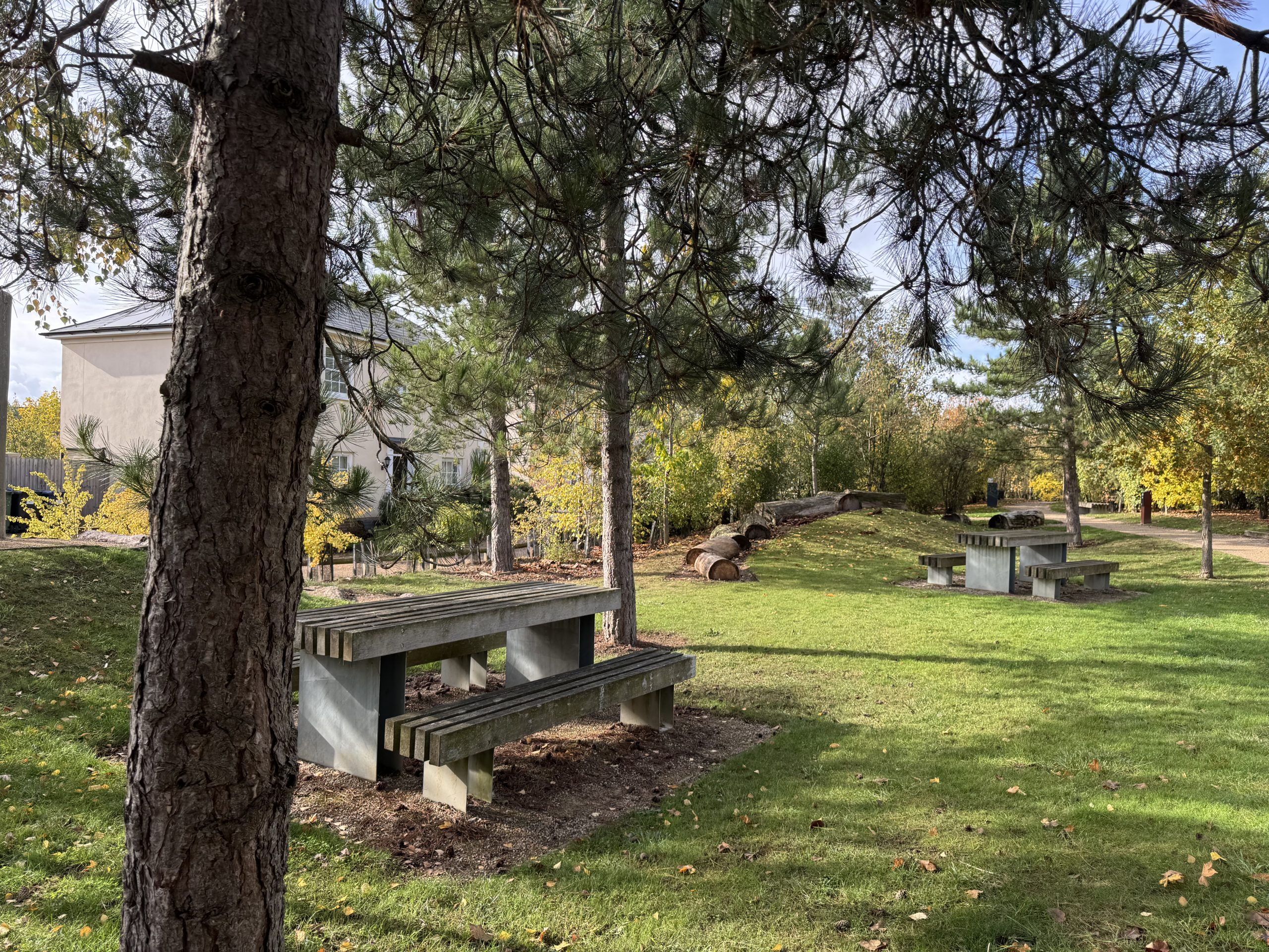 A park with trees and a picnic table.